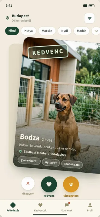 A Mancsvár app képernyője: örökbefogadható menhelyi állatok böngészése
